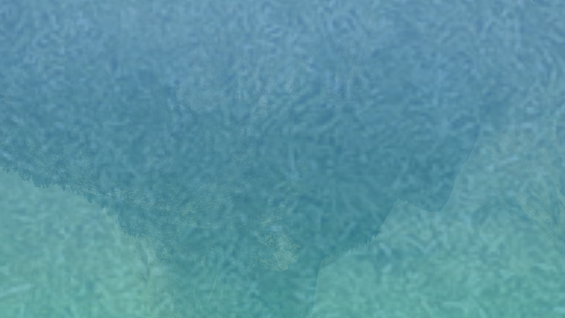 免费cc攻击测试
